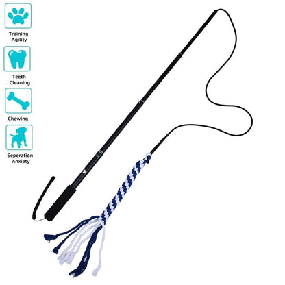 K9 Flirt Pole